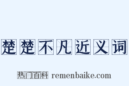 楚楚不凡近义词是什么意思的图片